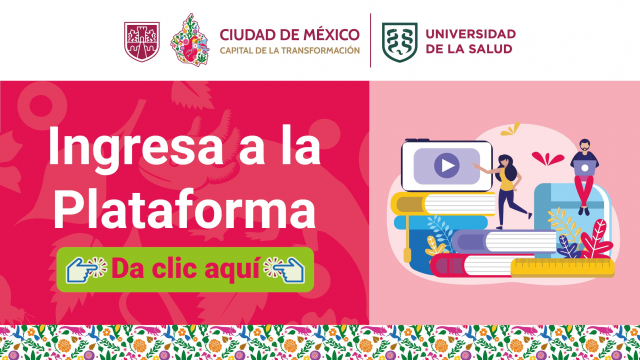 Ingresa a la Plataforma